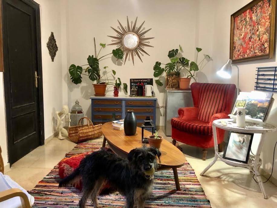 La Casa Del Sur Apartman Granada Kültér fotó